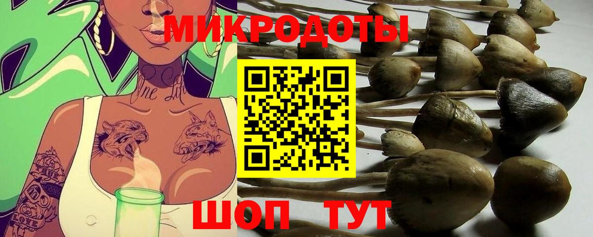 Псилоцибиновые грибы ЛСД Новочеркасск